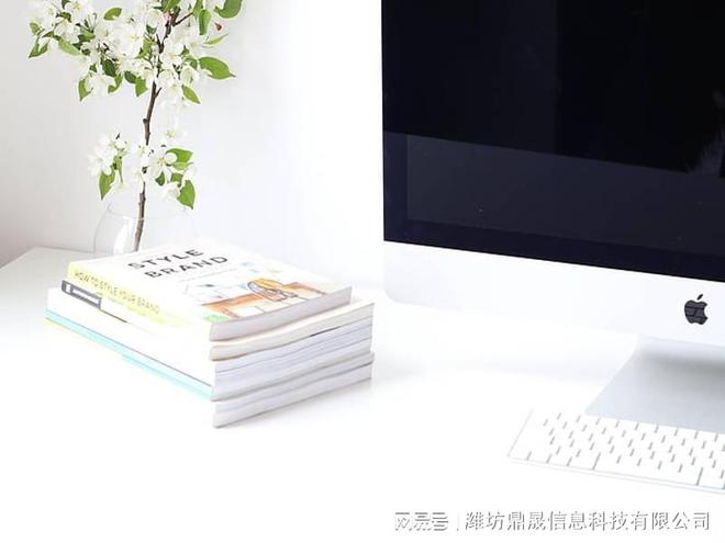 网站项目规划与设计计划书